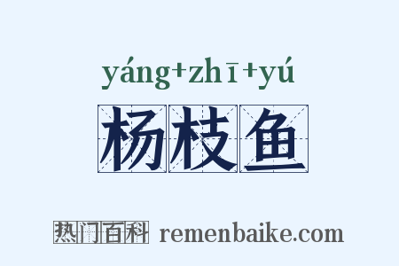 杨枝鱼是什么意思的图片